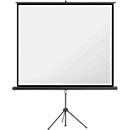 Magnetoplan mobile Stativ-Leinwand, B 1760 x H 1320 mm, für den Innenbereich, 4:3, Bildqualität 4K HD, Polyester/Stahl, weiß