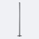 MAUL LED-Säulenleuchte MAULpino Eco, 10 W, 1222 lm, 2700 K, dimmbar, H 1430 mm, anthrazit