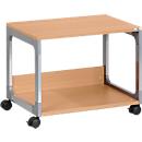 Multitrolley 48, zilver/beukenpatroon