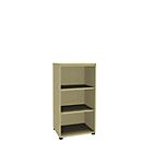 Open kast, 1-delig, 3 ordnerhoogten, b 600 mm, esdoornpatroon