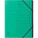 Organisateur FALKEN, format A4, fermeture élastique, carton, 12 compartiments, vert