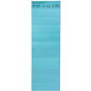 Organisation strips, blue