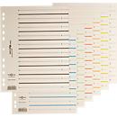 PAGNA Easy Rip dividers, DIN A4 format, line print, 10 pieces, assorted colours