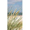 Panneau acoustique, herbes, 800 x 1600 mm