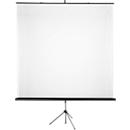 Pantalla de trípode clásica, ancho 1800 x alto 1800 mm, paso 1:1, regulable en altura, con asa, tela y metal, blanco y negro