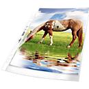 Pochettes perforées Premium DURABLE, format A4, ouverture sur le dessus, 50 p., lisse, transparent