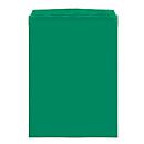 Pochettes transparentes Orgatex, avec rabat, format A4 portrait, vert, 10 p.