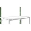 Portique, bas, Poste de travail modulaire STANDARD table de travail/établi UNIVERSAL/PROFI, vert réséda
