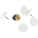 punaises, kunststof coating, wit, 100 stuks