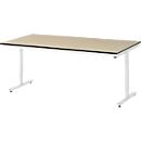 Rau Adlatus werktafel, elektrisch in hoogte verstelbaar, 22 mm MDF blad, tot 150 kg, B 2000 x D 1000 x H 720-1120 mm, bruin/lichtgrijs