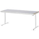 Rau Adlatus werktafel, elektrisch in hoogte verstelbaar, 25 mm MDF-plaat, plaatstalen bekleding, 150 kg, B 2000 x D 800 x H 720-1120 mm, zilver/lichtgrijs