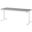 Rau Arbeitstisch Adlatus, elektrisch höhenverstellbar, 25 mm Spanplatte, Linoleumbelag, 150 kg, B 2000 x T 800 x H 720-1120 mm, hellgrau/lichtgrau