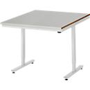 Rau werktafel Adlatus, elektrisch in hoogte verstelbaar, 25 mm MDF blad, roestvrij stalen bekleding, tot 150 kg, B 1000 x D 1000 x H 720-1120 mm, zilver/lichtgrijs