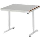 Rau werktafel Adlatus, elektrisch in hoogte verstelbaar, 25 mm MDF blad, roestvrij stalen bekleding, tot 150 kg, B 1000 x D 800 x H 720-1120 mm, zilver/lichtgrijs