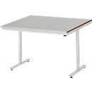 Rau werktafel Adlatus, elektrisch in hoogte verstelbaar, 25 mm MDF blad, roestvrij stalen bekleding, tot 150 kg, B 1250 x D 1000 x H 720-1120 mm, zilver/grijs