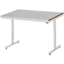 Rau werktafel Adlatus, elektrisch in hoogte verstelbaar, 25 mm MDF blad, roestvrij stalen bekleding, tot 150 kg, B 1250 x D 800 x H 720-1120 mm, zilver/lichtgrijs