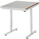 Rau werktafel Adlatus, elektrisch in hoogte verstelbaar, 25 mm MDF blad, roestvrij stalen bekleding, tot 150 kg, B 750 x D 800 x H 720-1120 mm, zilver/lichtgrijs