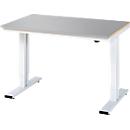 Rau werktafel Adlatus, elektrisch in hoogte verstelbaar, 25 mm MDF-plaat met roestvrijstalen coating, tot 300 kg, B 1250 x D 800 x H 720-1120 mm, zilver/lichtgrijs