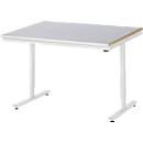 Rau werktafel Adlatus, elektrisch in hoogte verstelbaar, 25 mm MDF-plaat, plaatstalen bekleding, 150 kg, B 1250 x D 1000 x H 720-1120 mm, zilver/grijs