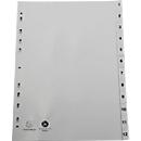 Register Exacompta 1912E, Format A4, Universallochung, Taben 1-12, B 225 x H 297 mm, Blauer Engel, Recycling-Kunststoff, grau