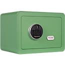 Rottner Möbeleinsatztresor Vintage, 16 Liter, Elektronikschloss mit Fingerprint, Stahl, H 250 x B 350 x T 250 mm, grün