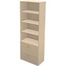 Schäfer Shop Genius Combinaison étagère-armoire à dossiers suspendus TETRIS WALL, l. 800 x P 440 x H 2250 mm, coloris érable