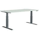 Schäfer Shop Genius desk MODENA FLEX, electrically height-adjustable, rectangular, T-leg, W 1600 x D 800 mm, light gray/anthracite