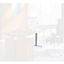Schäfer Shop Genius Pied de table, étroit, en acier, pour bureau modulaire MODENA FLEX