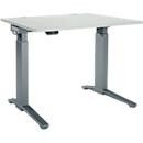 Schäfer Shop Genius Schreibtisch ERGOSTYLE S, Rechteck, elektrisch höhenverstellbar, einstufig, C-Fuß, B 1200 x T 800 x H 715-1182 mm, inkl. Memory Master, lichtgrau/anthrazit