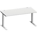 Schäfer Shop Genius Schreibtisch MODENA FLEX, C-Fuß-Rechteckrohr, B 1600 x T 800 mm, lichtgrau/weißalu