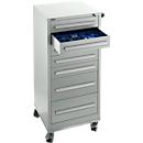 Schäfer Shop Pure Armoire à tiroirs SFR 70, 7 tiroirs, L 544 x P 500 x H 1215 mm, avec roulettes, gris clair RAL 7035/gris clair RAL 7035