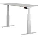 Schäfer Shop Select ERGO-T desk, electrically height-adjustable, rectangular, T-foot, W 1200 x D 800 x H 640-1300 mm, light gray/white aluminum