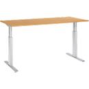 Schäfer Shop Select Schreibtisch ERGO-T, elektrisch höhenverstellbar, Rechteck, T-Fuß, B 1800 x T 800 x H 725-1185 mm, Buche-Dekor/weißaluminium