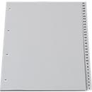 SCHÄFER SHOP Aflopend gesorteerde tabbladen PP, A4, grijs