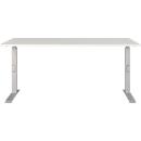 Schreibtisch Agenda, mechanisch höhenverstellbar, B 1600 x T 800 x H 680-910 mm, Lichtgrau/Silber