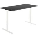 Schreibtisch, elektrisch höhenverstellbar, Rechteck, T-Fuß, B 1600 x T 800 x H 705-1205 mm, graphit/cremeweiß