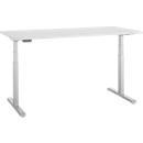 Schreibtisch, elektrisch höhenverstellbar, T-Fuß, B 1600 x T 800 x H 615-1275 mm, lichtgrau/weißalu