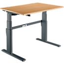 Schreibtisch Komfort, elektrisch höhenverstellbar, Rechteck, C-Fuß, B 1200 x T 800 x H 655-1305 mm, Buche-Dekor/anthrazit