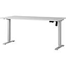 Schreibtisch Profi 2.0, elektrisch höhenverstellbar, B 1600 x T 800 x H 710 - 1190 mm, lichtgrau/silber