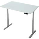 Schreibtisch, Rechteck, elektrisch höhenverstellbar, T-Fuß, B 1200 x T 800 x H 620-1280 mm, inkl. Memory Master, lichtgrau/silber
