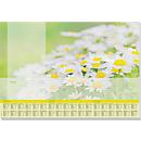 Schreibunterlage "Lovely Daisies", 80g/m², 30 Blatt