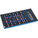Schroevendraaier- / inbussleutelset voor kastserie DP, 20- dlg., in inlay van hardschuim