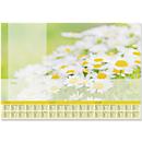 Sous-main triennal Lovely Daisies - papier - 2025/2026/2027 - L 595 x l. 410 mm - 80 g/m² - 30 feuilles