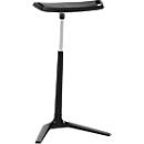 Stehhilfe FIN - H 620 - 850 mm - Gestell schwarz