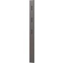 Susanna kapstokpaneel, wandbevestiging, 3 opklapbare haken, tot 5 kg, B 150 x D 30 x H 1700 mm, MDF, mat grafiet