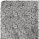 Tapijt Dolce, PP, dikte 12 mm, wasbaar, B 1600 x D 2300 mm, donkergrijs