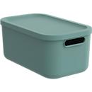 Transportbox Rotho Albula, Volumen 12 l, stapelbar, mit abnehmbarem Deckel und Grifflöchern, L 395 x B 235 x H 177 mm, Recycling-Kunststoff, grün
