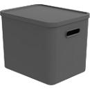 Transportbox Rotho Albula, Volumen 27 l, stapelbar, mit abnehmbarem Deckel und Grifflöchern, L 370 x B 290 x H 295 mm, Recycling-Kunststoff, anthrazit