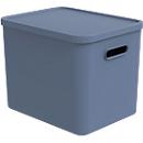 Transportbox Rotho Albula, Volumen 27 l, stapelbar, mit abnehmbarem Deckel und Grifflöchern, L 370 x B 290 x H 295 mm, Recycling-Kunststoff, blau