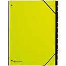 Trieur Trend PAGNA, pour format A4, carton, 12 compartiments, vert tilleul